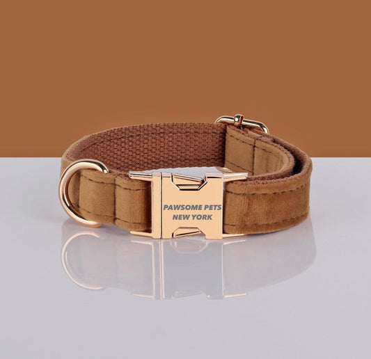 Pawsome Pets Adjustable Nylon Dog Collar #1 - Quick-Release Buckle for Secure Fit