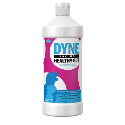 Pet-Ag Dyne Pro HG Healthy Gut Dog Nutritional Supplement, 32 oz - Pets Perfect