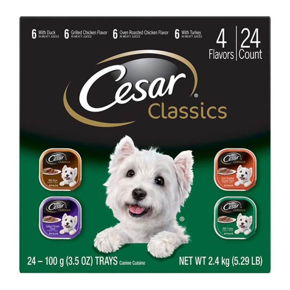 Cesar Classic Loaf in Sauce Adult Wet Dog Food Poultry Variety 84.66