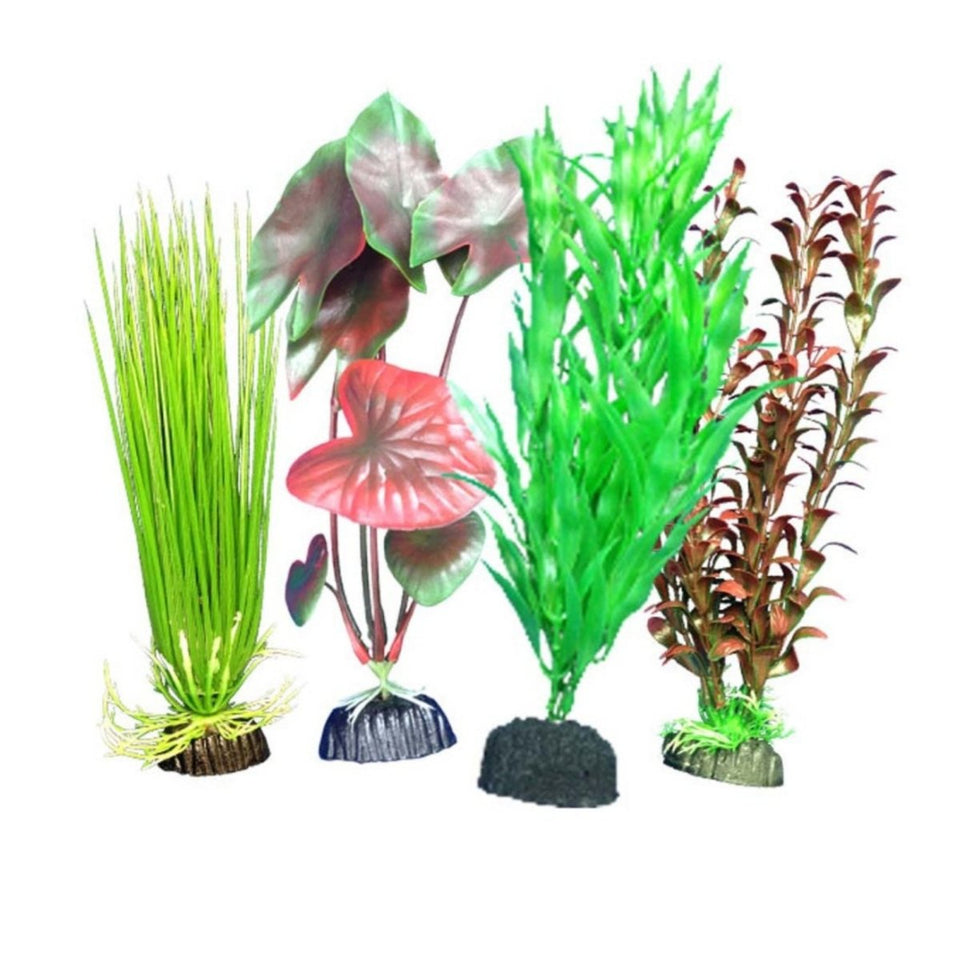 Weco Products Freshwater Aquarium Plant 101 Assorted, Multipack