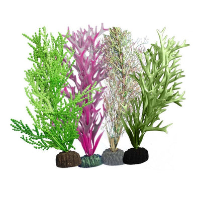 Weco Products Marine Plant 109 Assorted, 1ea/Multipack