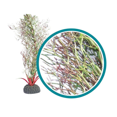 Weco Marine Pro Series Fine Branch Kelp Aquarium Plant Green, 6 in