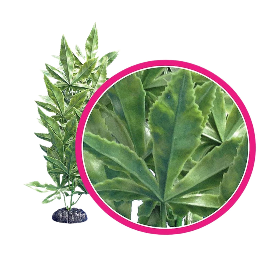 Weco Products Dream Series Hash Aquarium Plant Green, 1ea/6 in