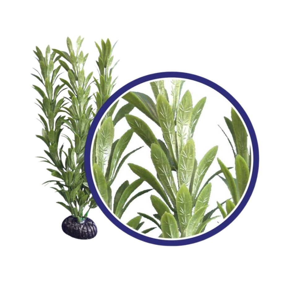 Weco Products Freshwater Series Anacharis Aquarium Plant Green, 1ea/9 in