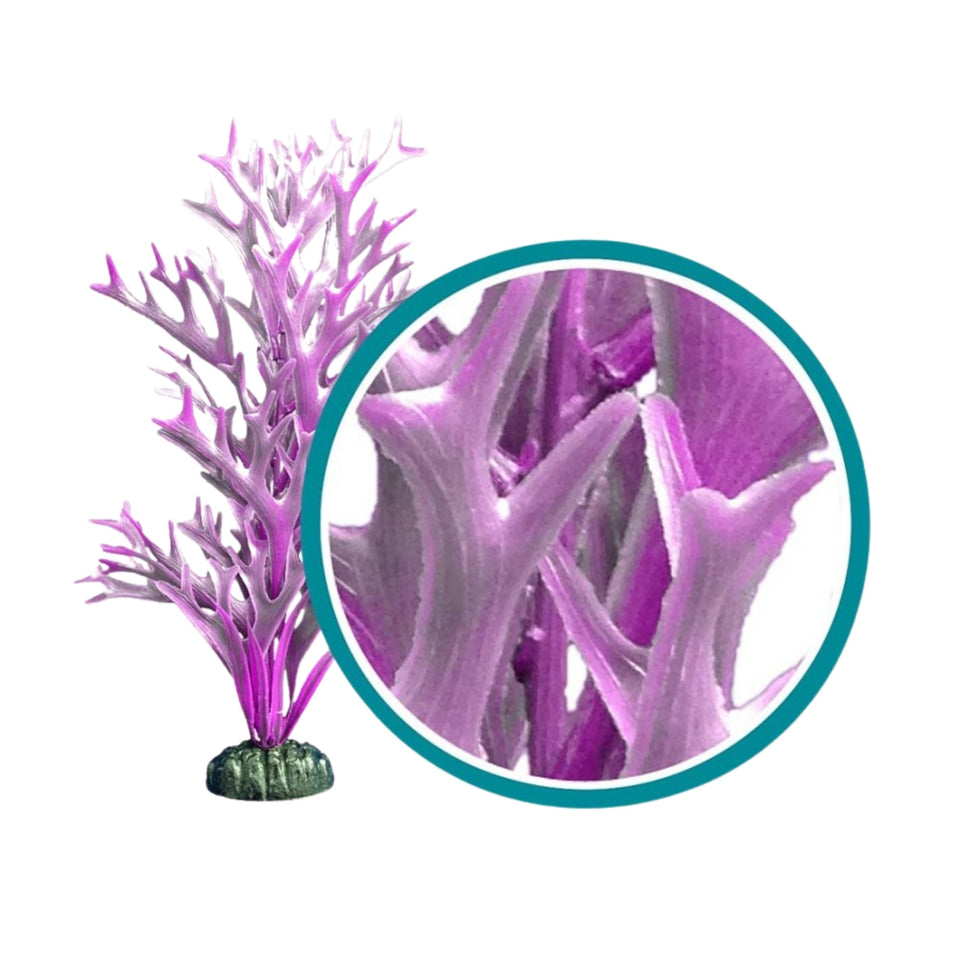 Weco Products Marine Pro Series Giant Kelp Aquarium Plant Purple, 1ea/9 in, Giant