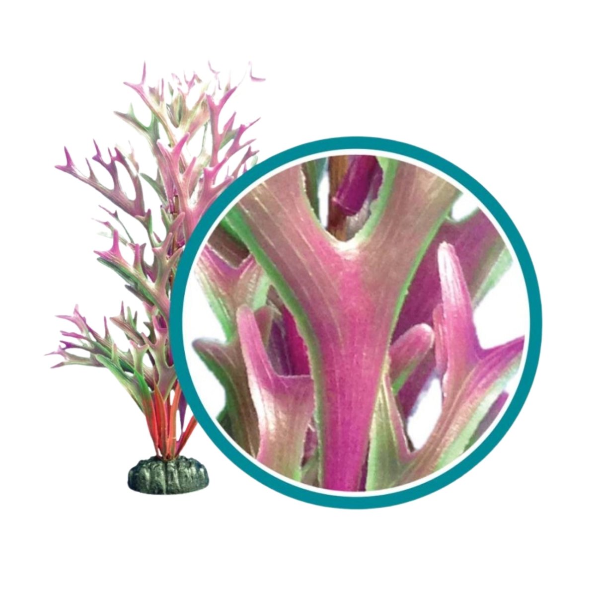 Weco Products Marine Pro Series Giant Kelp Aquarium Plant Red, 1ea/9 in, Giant - Pets Perfect