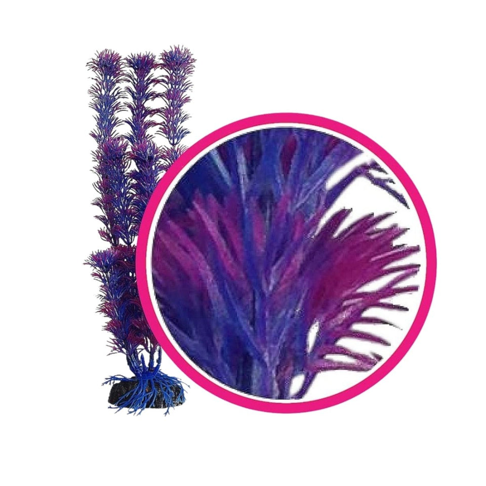 Weco Dream Series Fuschia Fern Aquarium Plant, Pink, Purple, 9 in