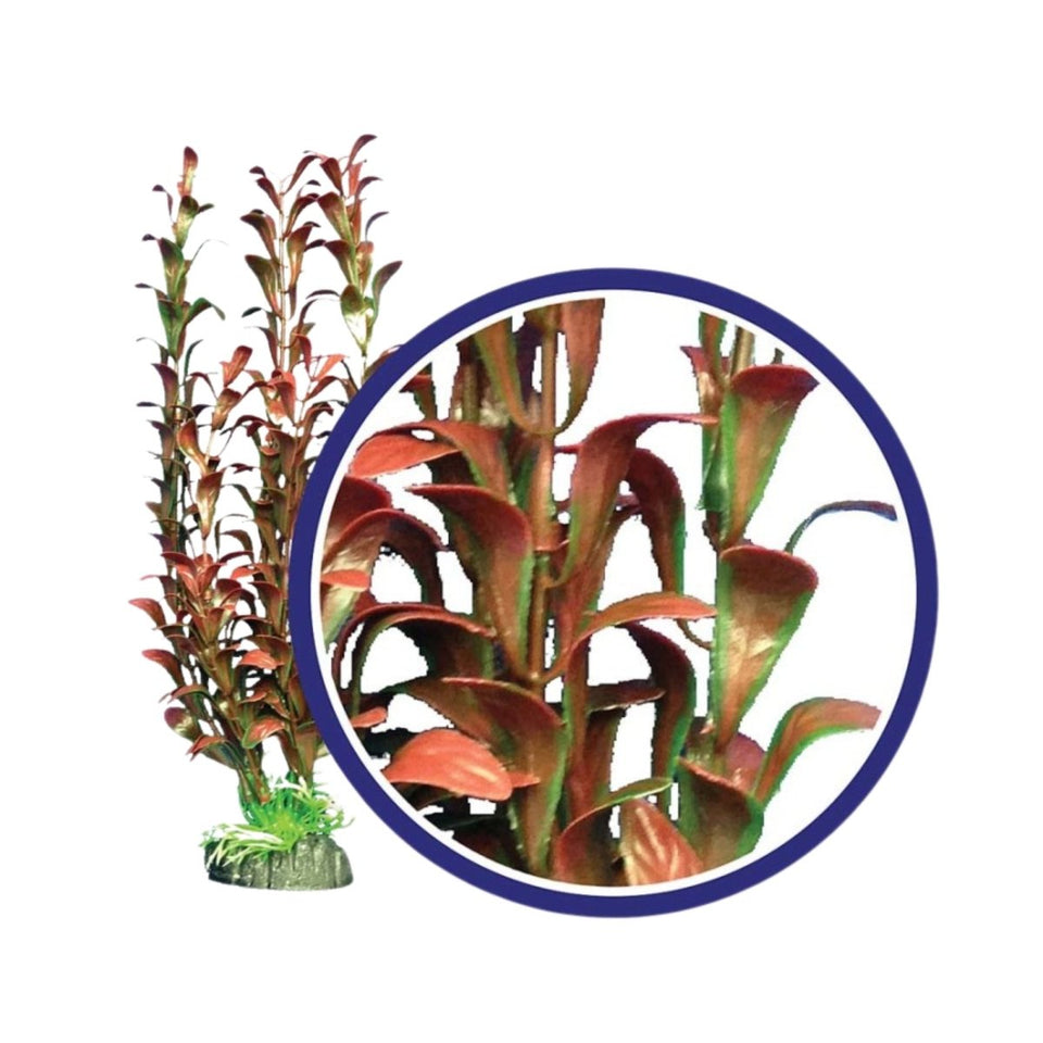 Weco Products Freshwater Series Hygrophilia Aquarium Plant, Red, 12 in
