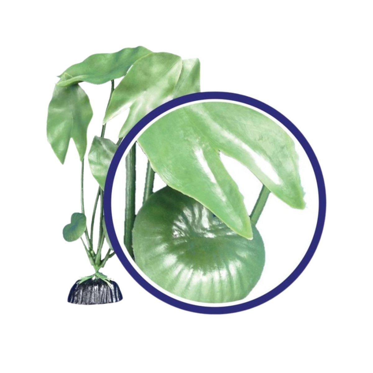 Weco Products Freshwater Series Tiger Lotus Aquarium Plant Green, 1ea/18 in - Pets Perfect