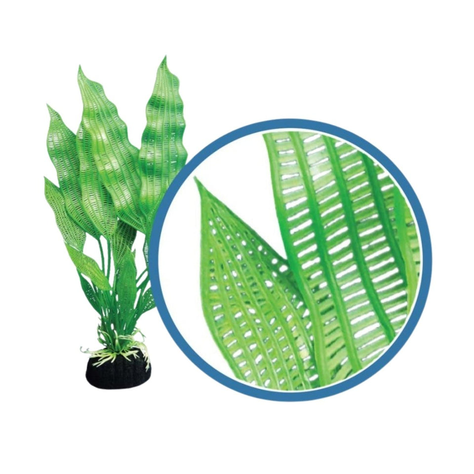 Weco Freshwater Pro Series Madagascar Lace Aquarium Plant, Green