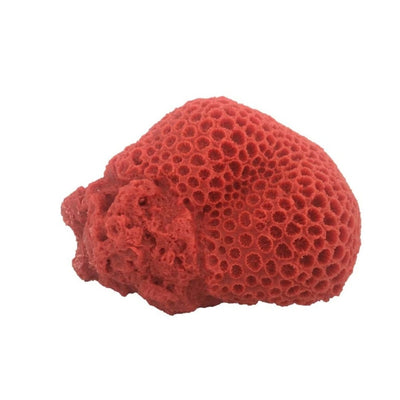 Weco Products South Pacific Coral Brain Ornament Orange, Large