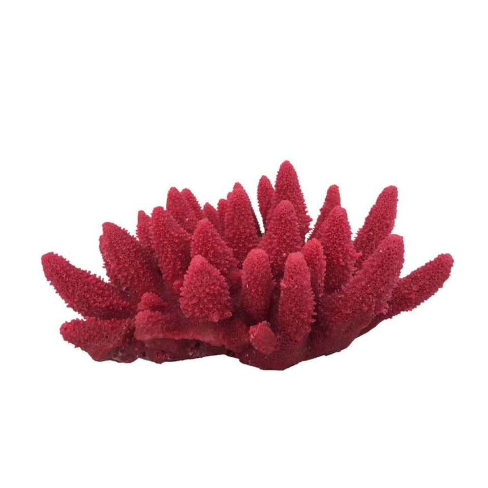Weco South Pacific Coral Acorapora Humilis Ornament Rose, Medium
