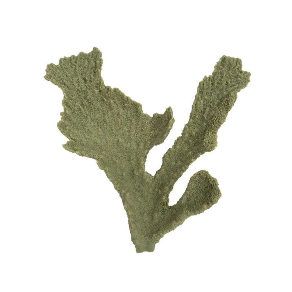 Weco Products South Pacific Coral Elkhorn Ornament Grey, Small