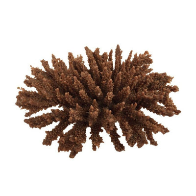 Weco Products South Pacific Coral Tabletop Ornament Brown, Small