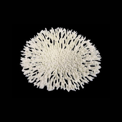 Weco Products South Pacific Coral Round Tabletop Ornament White, Large