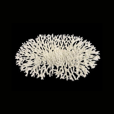 Weco Products South Pacific Coral Oval Tabletop Ornament White, Large