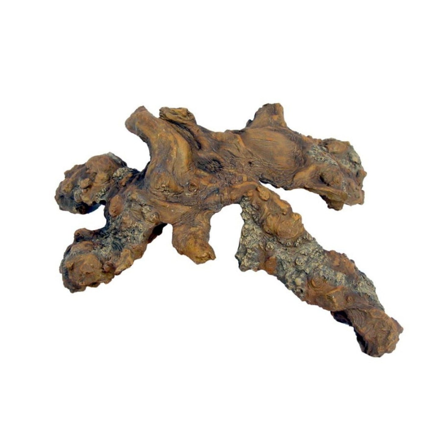 Weco Wecorama Galapagos Burl Wood Ramp - Brown, MD