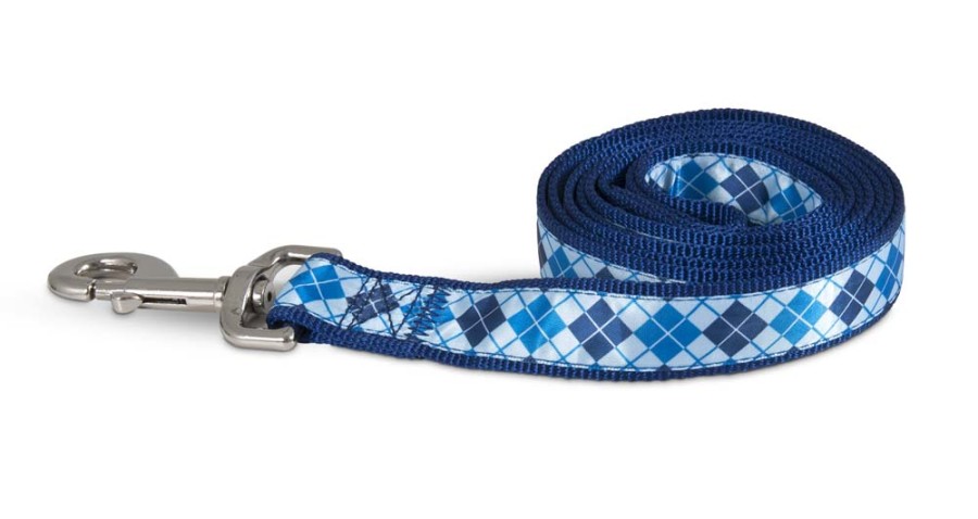 Aspen Ribbon Overlay Dog Leash Blue 1 in x 6 ft