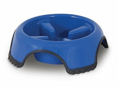 Aspen Pet Skid Stop Slow Feed Dog Bowl Large - Pets Perfect