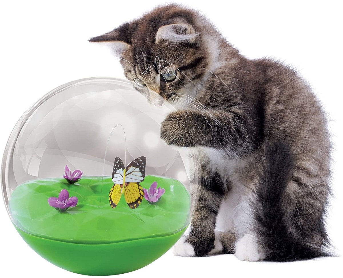 Jackson Galaxy Butterfly Ball Cat Toy Multi - Color 1ea/One Size - Pets Perfect