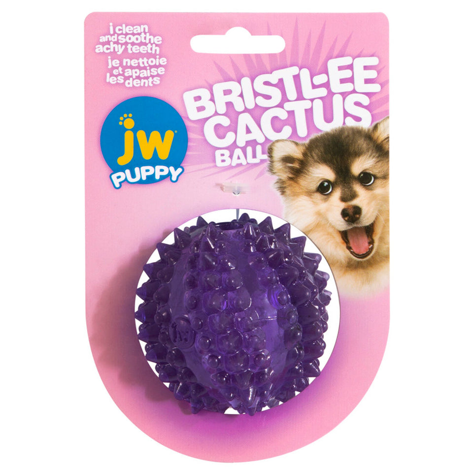 JW Pet Bristl-ee Cactus Ball Puppy Dog Toy Puppy