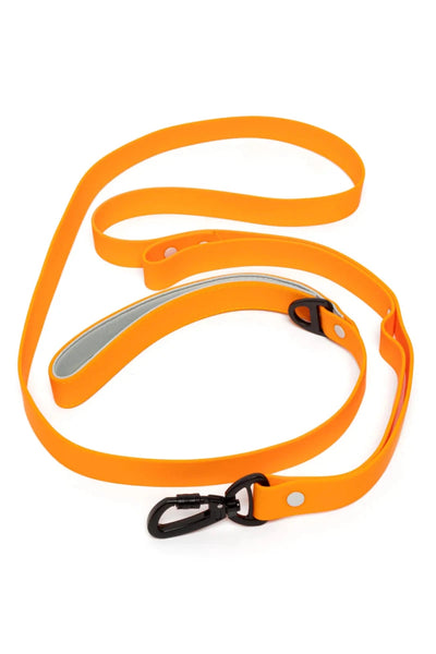 Crimson Glow Waterproof Dog Leash, Bright Orange / Gray