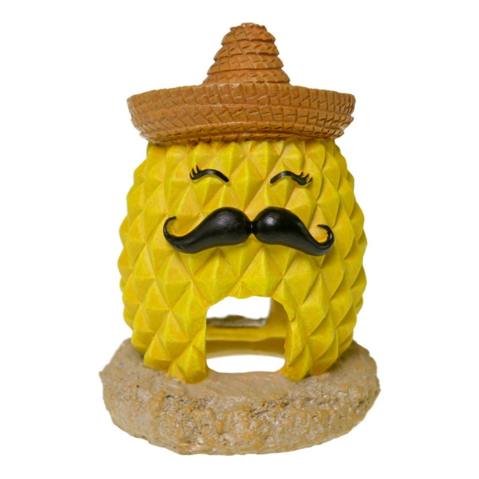 Blue Ribbon Pet Products Pineapple Sombrero Ornament