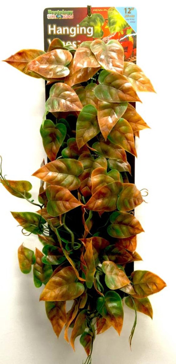 Penn-Plax Reptile Vine, Green, Brown, 12 in - Pets Perfect