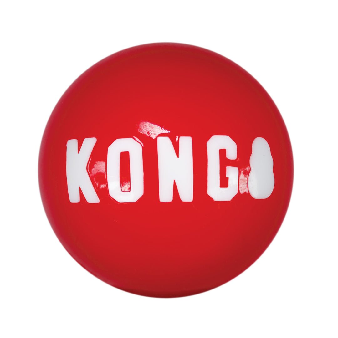 KONG Signature Ball Dog Toy Red 1ea/LG - Pets Perfect