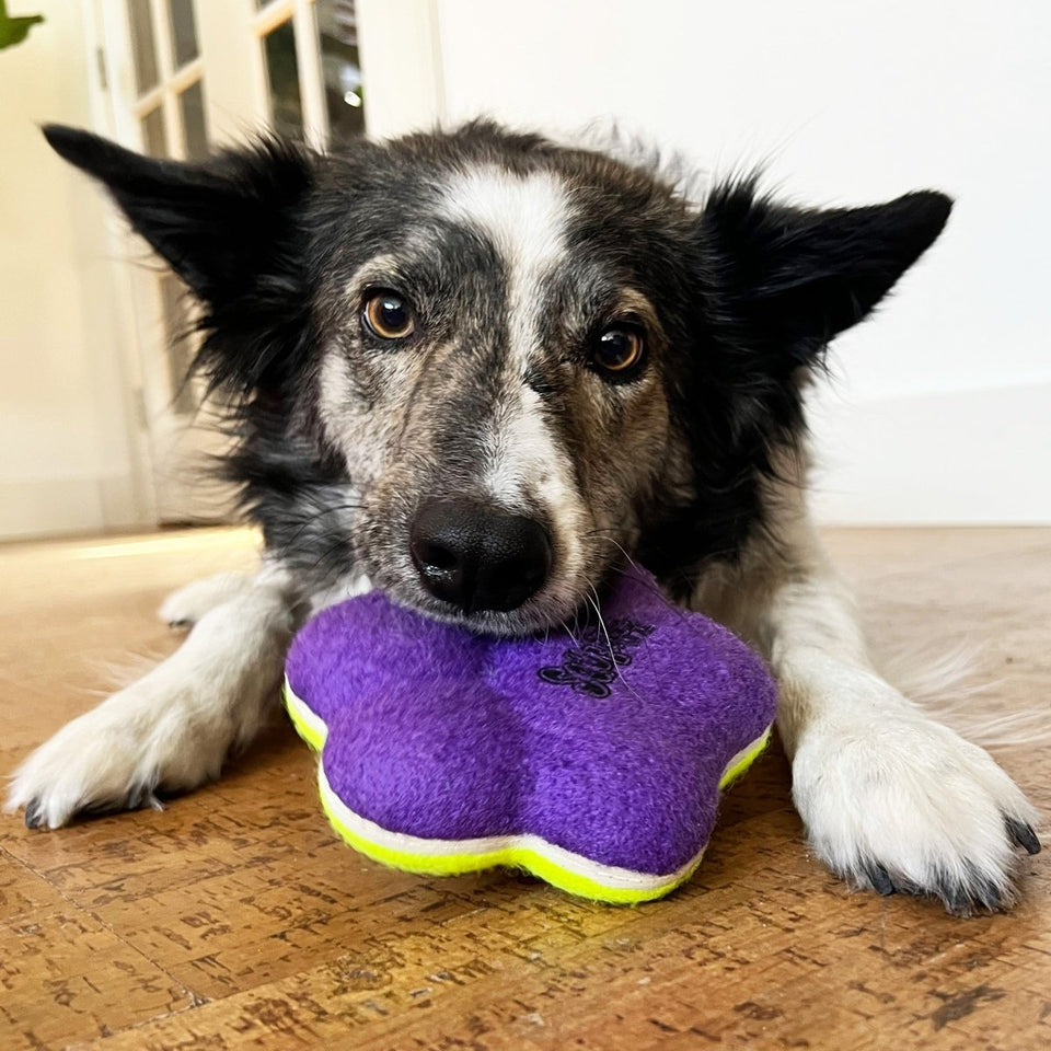 KONG AirDog Squeaker Paw Dog Toy - Medium, view 3