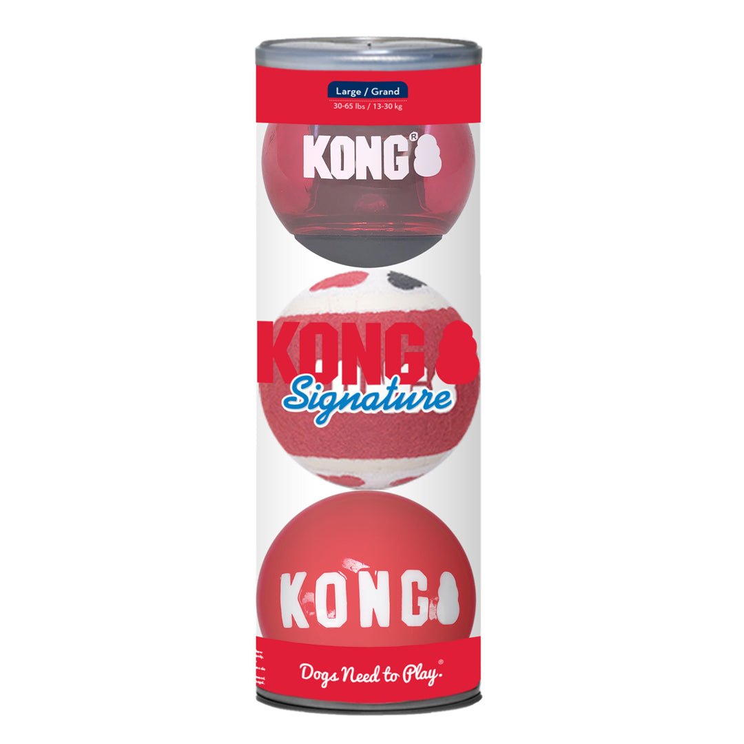 KONG Signature Ball Dog Toy Assorted 1ea/LG, 3 pk - Pets Perfect