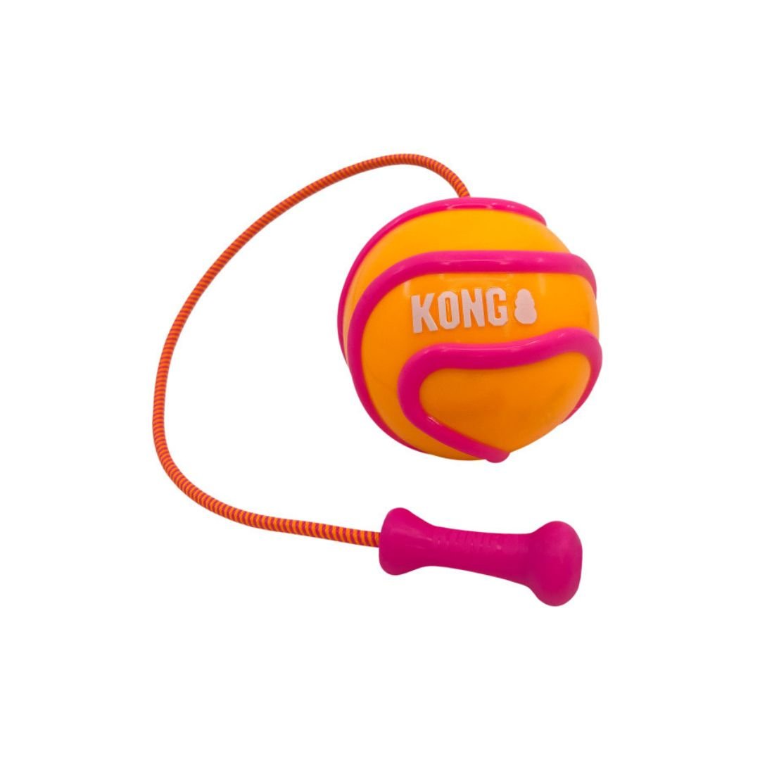 KONG Bunji HighViz Ball Dog Toy Assorted, 1ea/LG - Pets Perfect