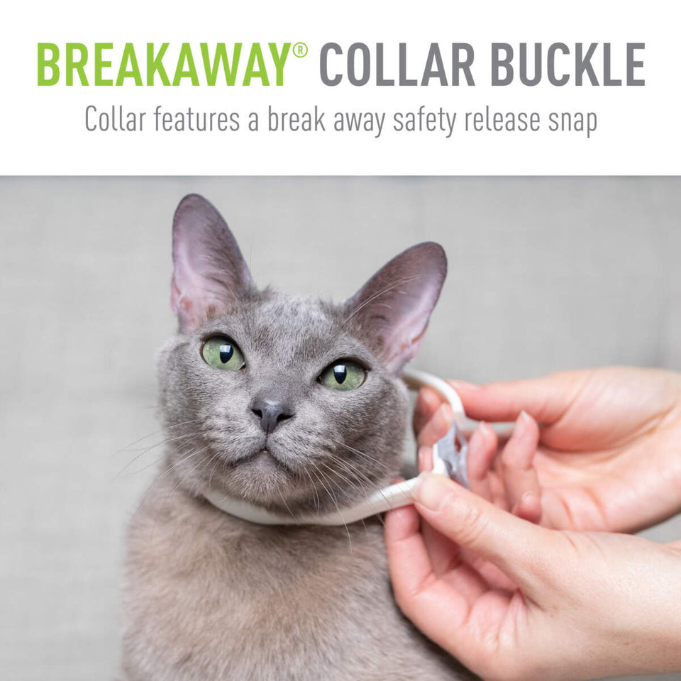 Adams Plus Flea Tick Cat Collar for Cats 1 ct