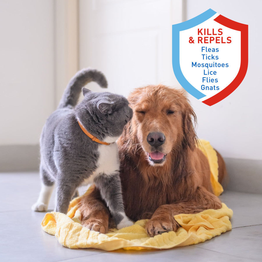 Gray cat and golden retriever together beside a kills and repels shield graphic