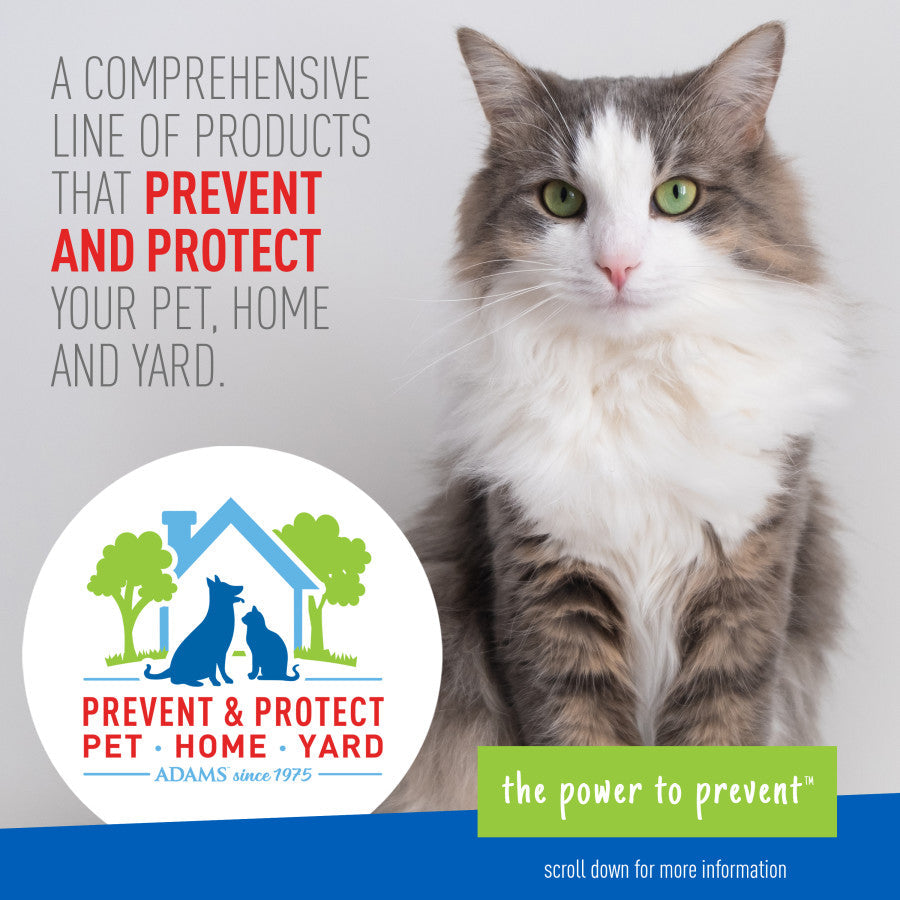 Fluffy gray and white cat next to the Prevent and Protect pet home yard logo