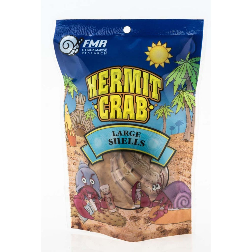 Florida Marine Research Natural Shell Terrarium Ornament Multi-Color 1ea/2 pk, LG