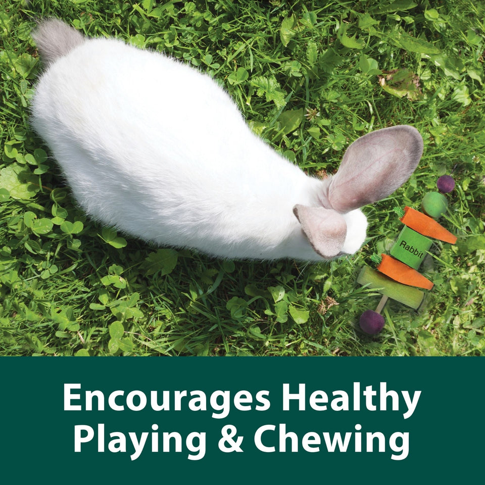 Kaytee Perfect Chews Rabbit 1ea/1in. X 2.5in. X 9.3in.
