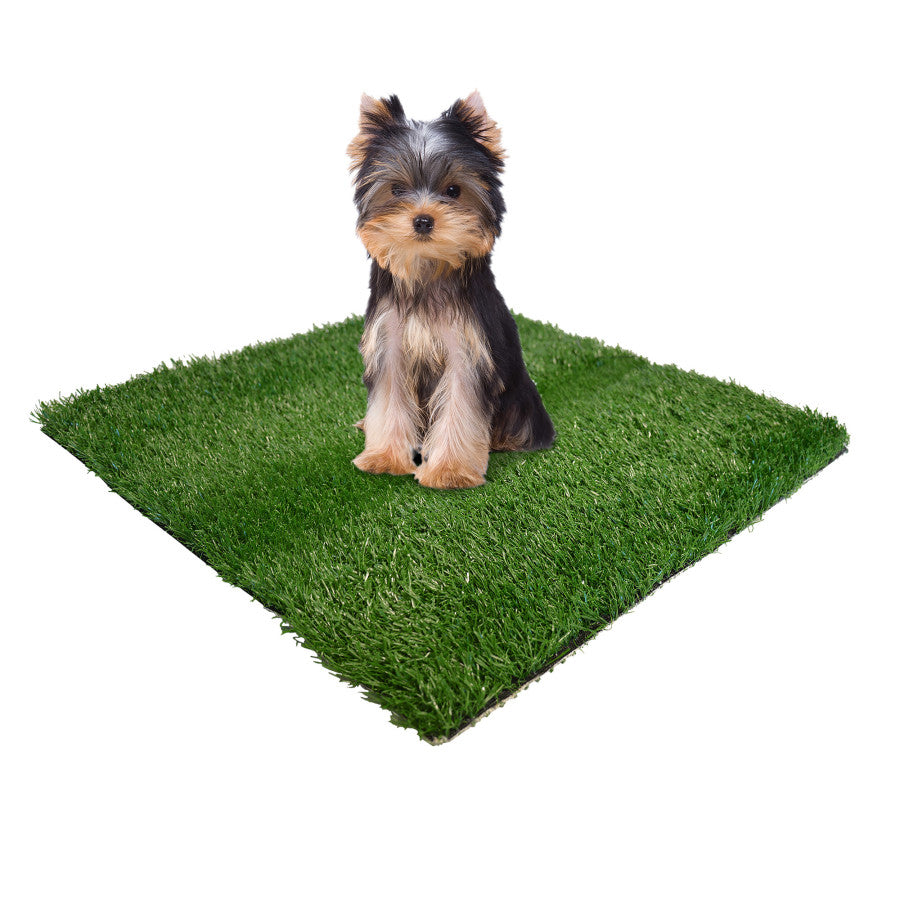 Four Paws WeeWee Dog Grass Replacement 19 in x 19 in 12 ct