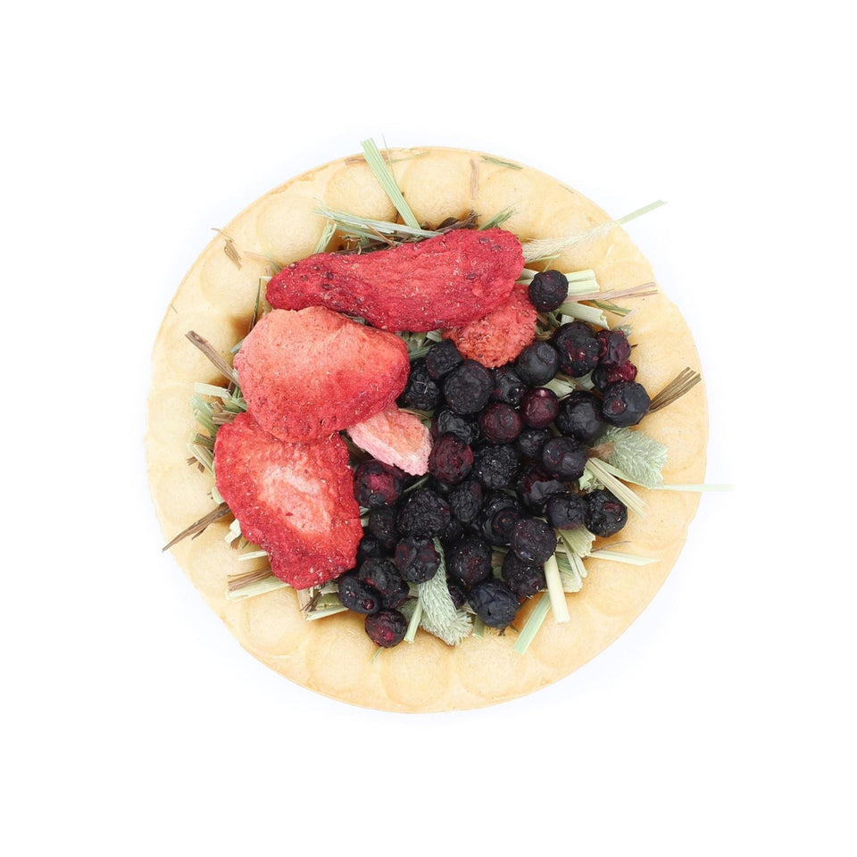 Vitakraft Berry Pie & Harvest Pie Small Animal Treat 1ea/1.05oz.