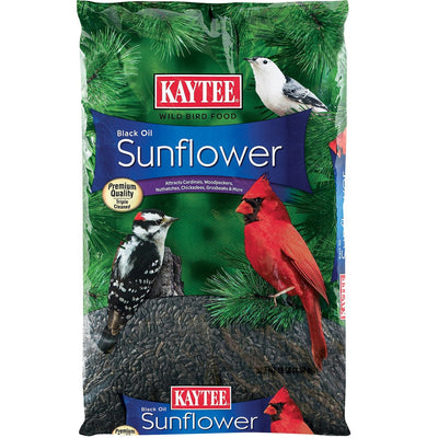 Kaytee Black Oil Sunflower 10 Pounds