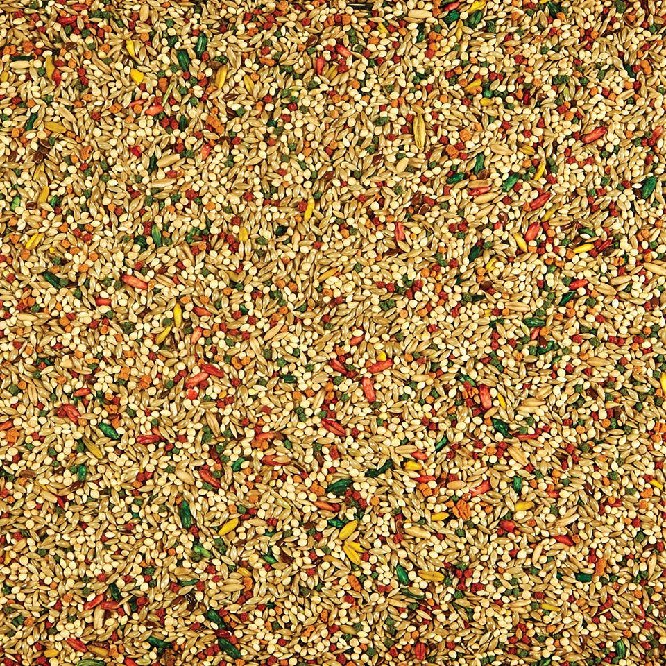 Kaytee Parakeet Food 1ea/2 lb