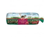 Kaytee Timothy Hay Plus Cranberries 24 oz