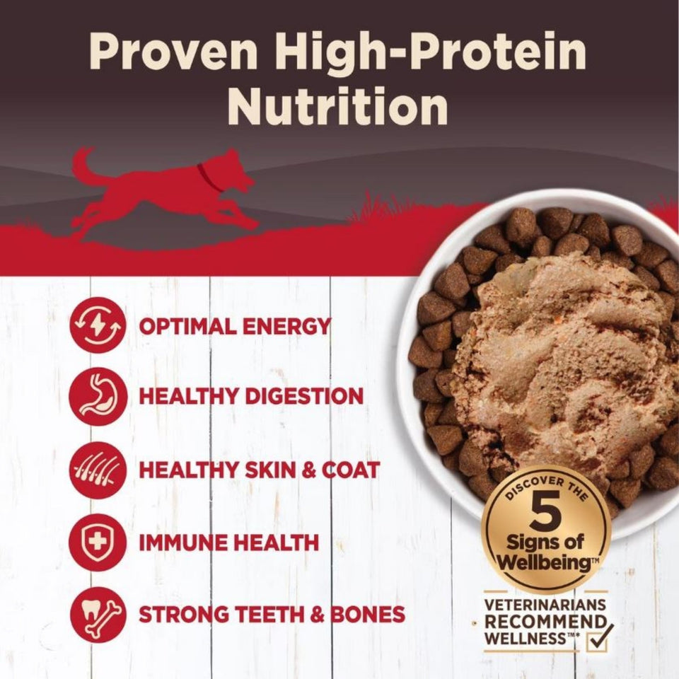 Wellness Dog Core Beef Venison Lamb Recipe 12.5oz. (Case of 12) - Dog Food Wet