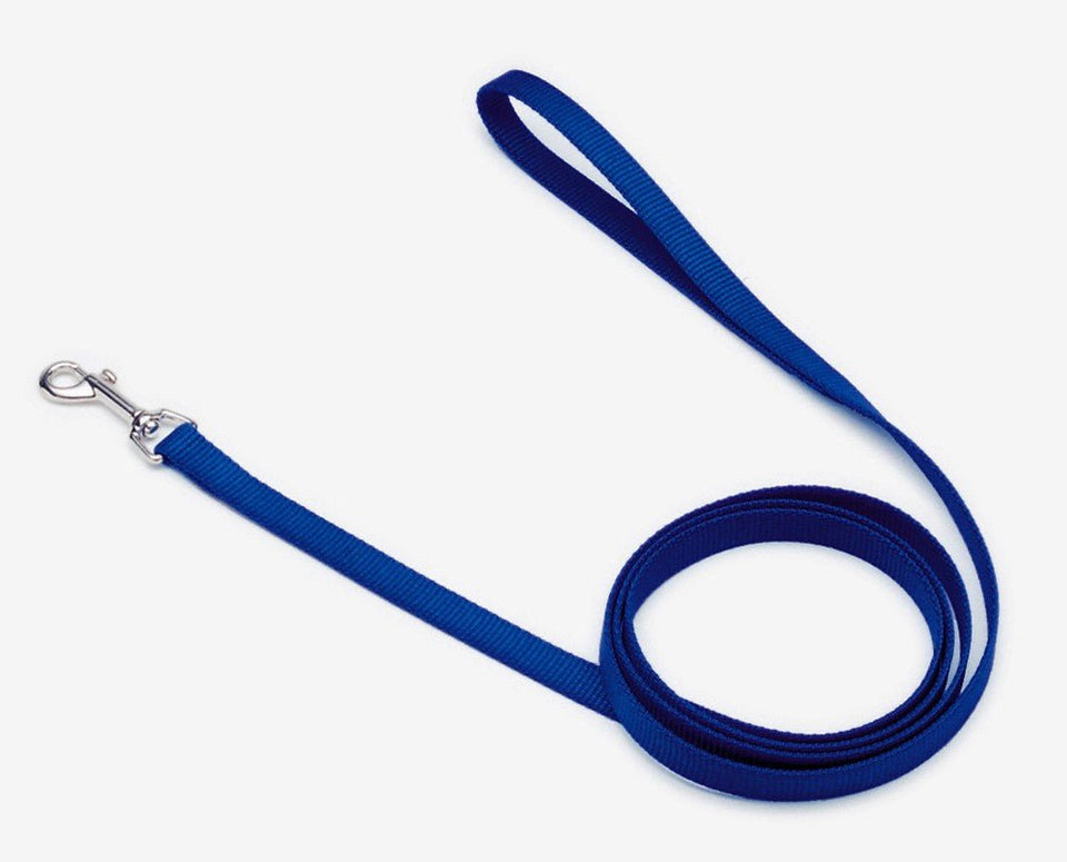Coastal SinglePly Nylon Dog Leash Blue, 5/8 in x 4 ft