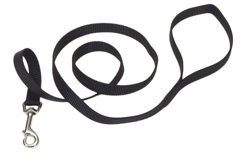 Coastal SinglePly Nylon Dog Leash Black, 1ea/5/8 In X 6 ft