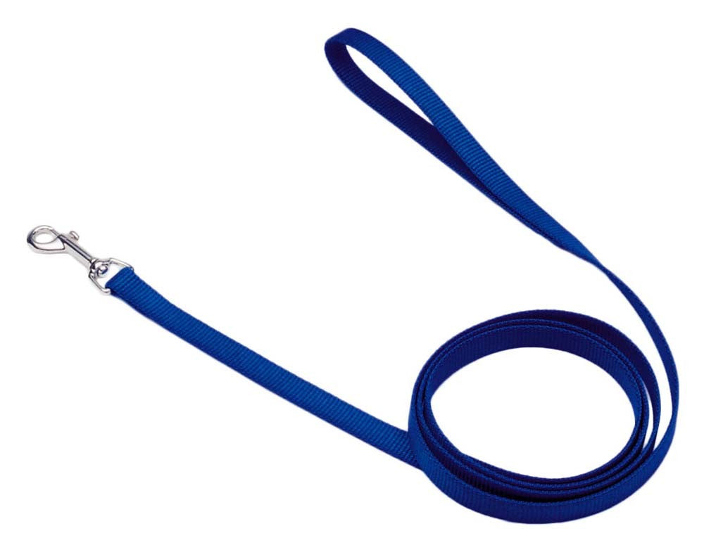 Coastal SinglePly Nylon Dog Leash Blue, 1ea/5/8 In X 6 ft