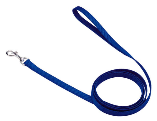 Coastal SinglePly Nylon Dog Leash Blue, 1ea/5/8 In X 6 ft