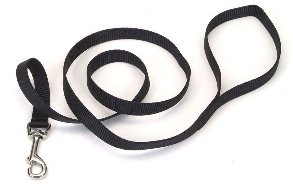 Coastal SinglePly Nylon Dog Leash Black, 1ea/3/4 In X 6 ft - Pets Perfect