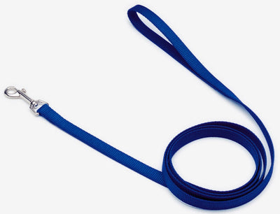 Blue nylon dog leash coiled in tight rounds with silver clasp