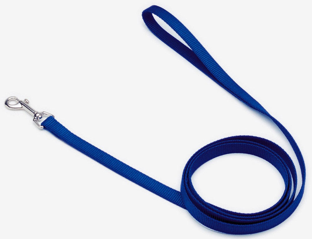 Coastal SinglePly Nylon Dog Leash Blue, 1ea/3/4 In X 6 ft